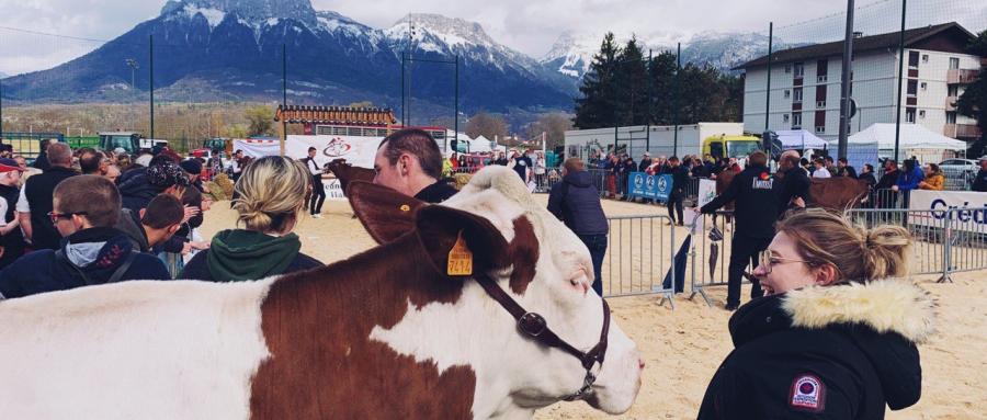 SAINT-JORIOZ | En images : La première "Foire de Printemps" des jeunes agriculteurs