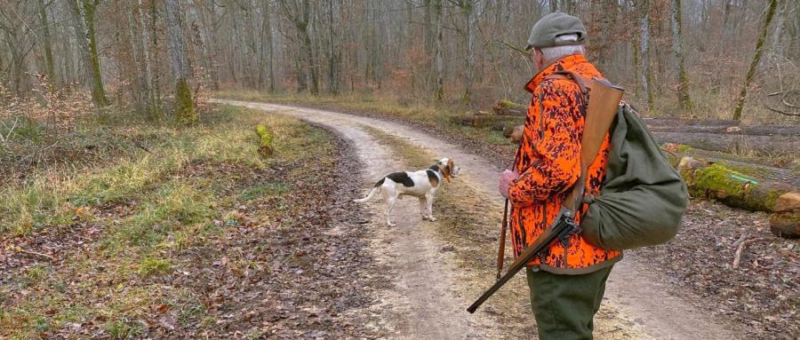 HAUTE-SAVOIE | Une appli pour connaître les zones et les jours de chasse
