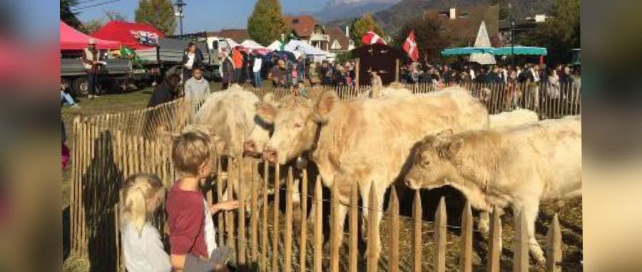 Programme de la fête d’automne l'Ancileviennerie : tout savoir de cette 42ème édition 