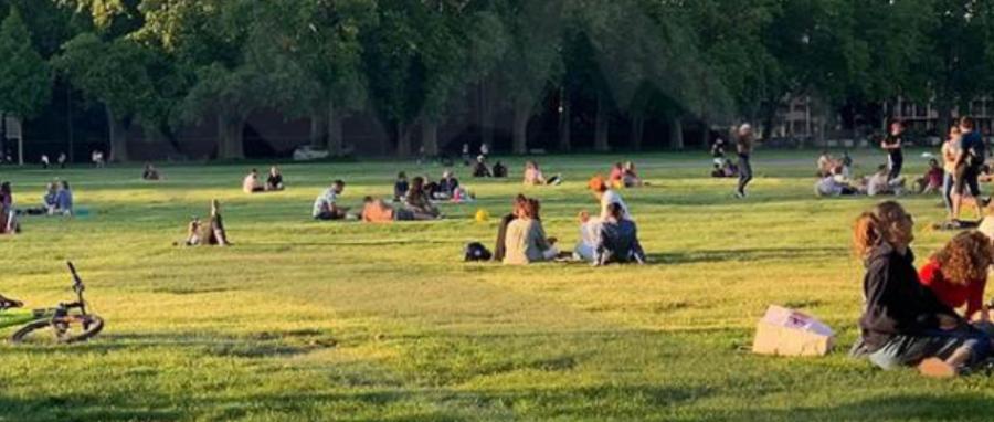 Zones d’ombre au Pâquier, itinéraires de promenade, caniparc… les lauréats du deuxième budget participatif d’Annecy sont connus