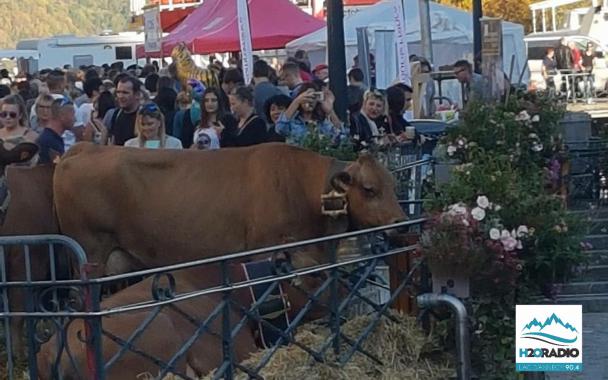 ANNECY | 100 000 spectateurs sour le soleil pour le Retour des Alpages