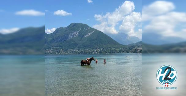 LAC D'ANNECY | Le Préfet prend un nouvel arrêté et rappelle les règles !