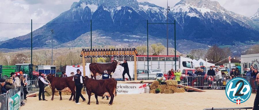SAINT-JORIOZ | En images : La première "Foire de Printemps" des jeunes agriculteurs