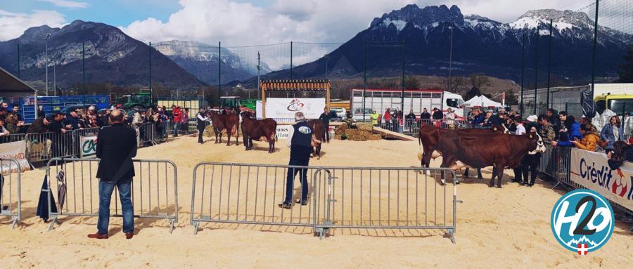 SAINT-JORIOZ | En images : La première "Foire de Printemps" des jeunes agriculteurs