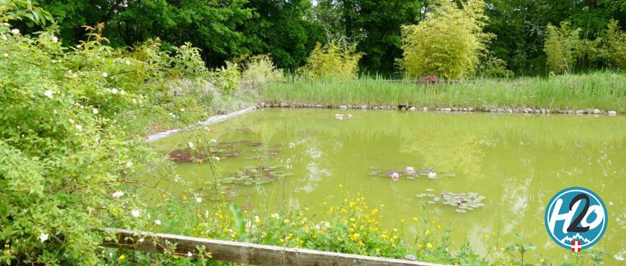 LORNAY | Des jardins qui réhabilitent le bambou comme plante écologique par nature ! 