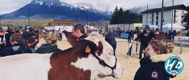 SAINT-JORIOZ | En images : La première "Foire de Printemps" des jeunes agriculteurs