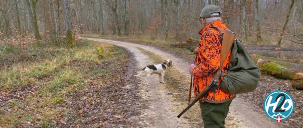HAUTE-SAVOIE | Une appli pour connaître les zones et les jours de chasse