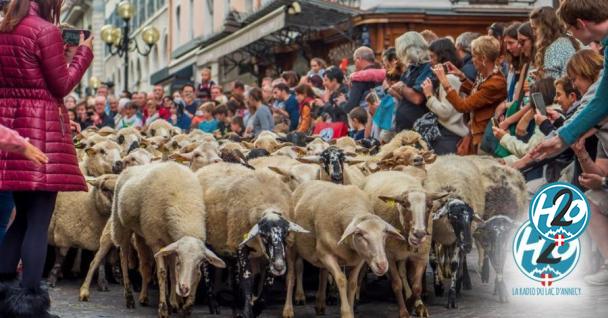 Le "Retour des alpages" à Annecy fête ses 50 ans ce week-end !