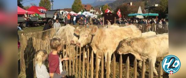 Programme de la fête d’automne l'Ancileviennerie : tout savoir de cette 42ème édition 