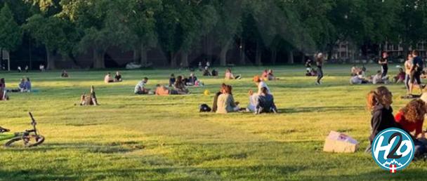 Zones d’ombre au Pâquier, itinéraires de promenade, caniparc… les lauréats du deuxième budget participatif d’Annecy sont connus